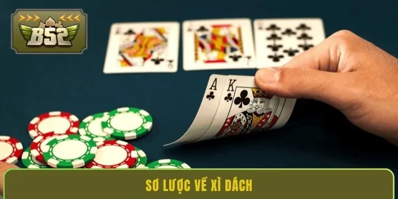 so-luoc-ve-xi-dach